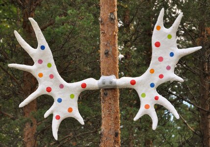 Moose antler colorful points