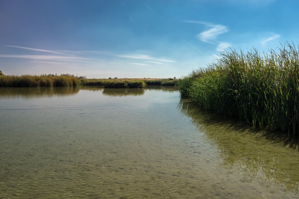 Park nature landscape