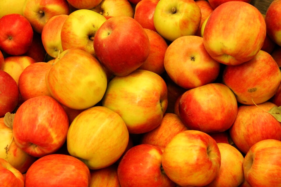 Fruit food nature