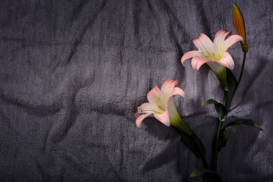 Summer blooming