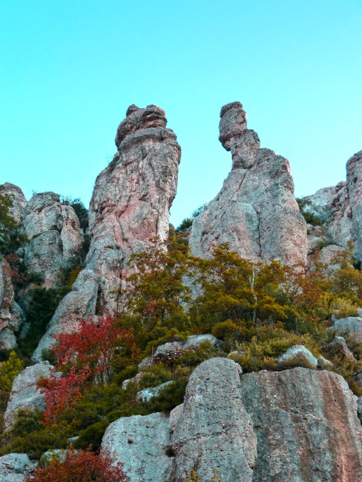 Montsant autumn organic forms