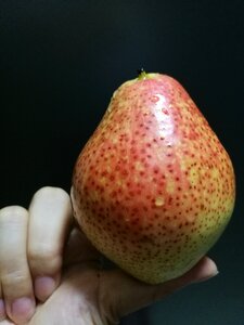 Plum static china wind