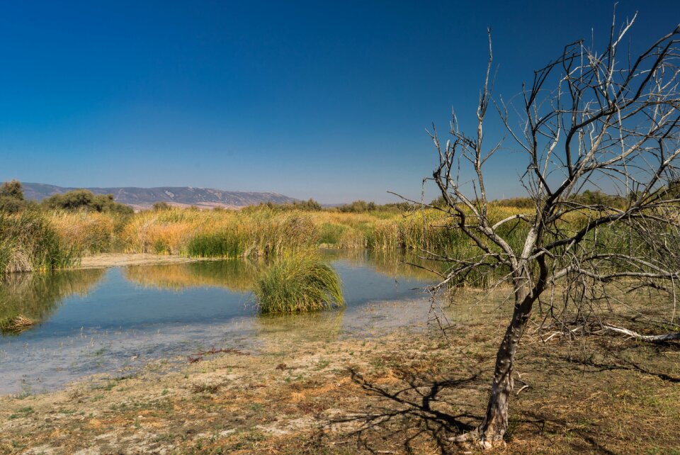 Park nature landscape photo