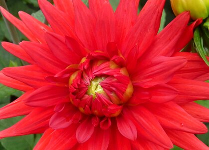 Close up nature mood