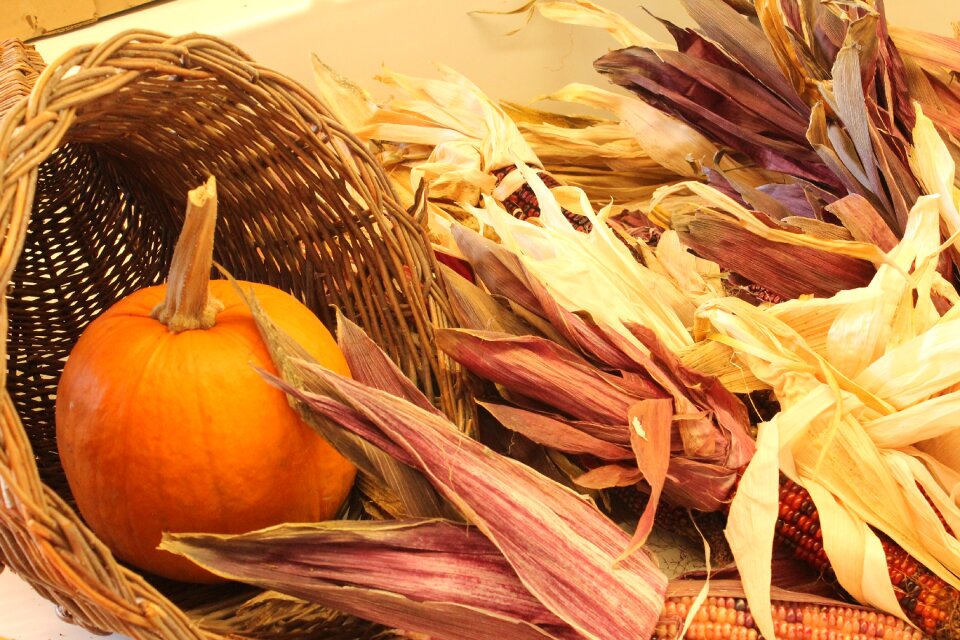 Indian fall harvest