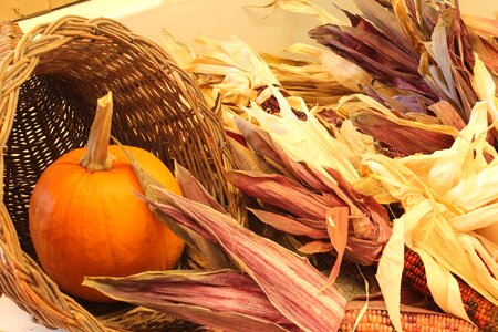 Indian fall harvest photo