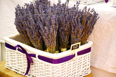 Croatia scenic scented