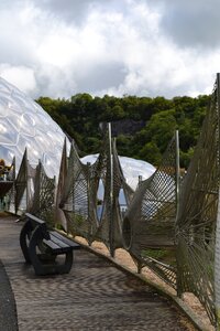 Cornwall environment ecology