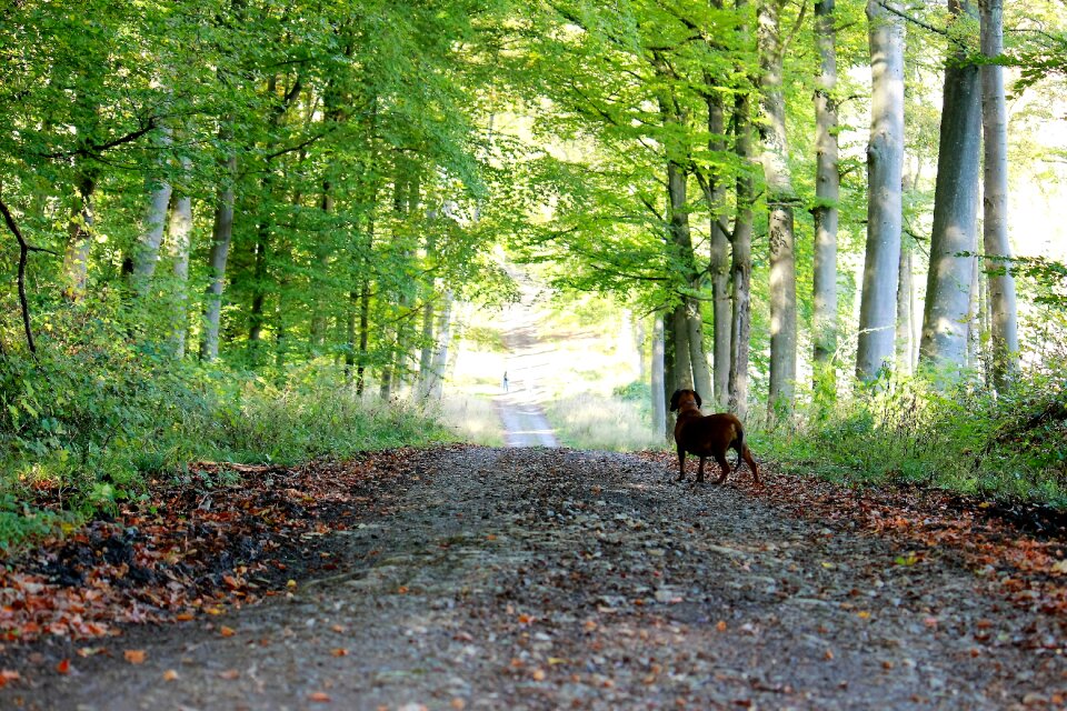 Stand by road outdoors