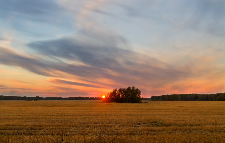 Clouds tree landscape