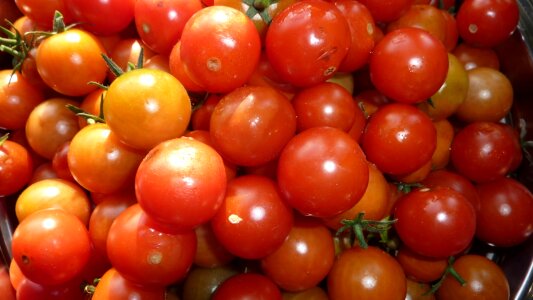Tomatoes cherry tomatoes vegetables photo
