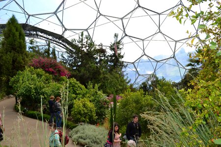 Environment ecology england