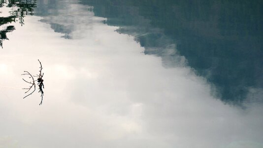 Water surface reflection