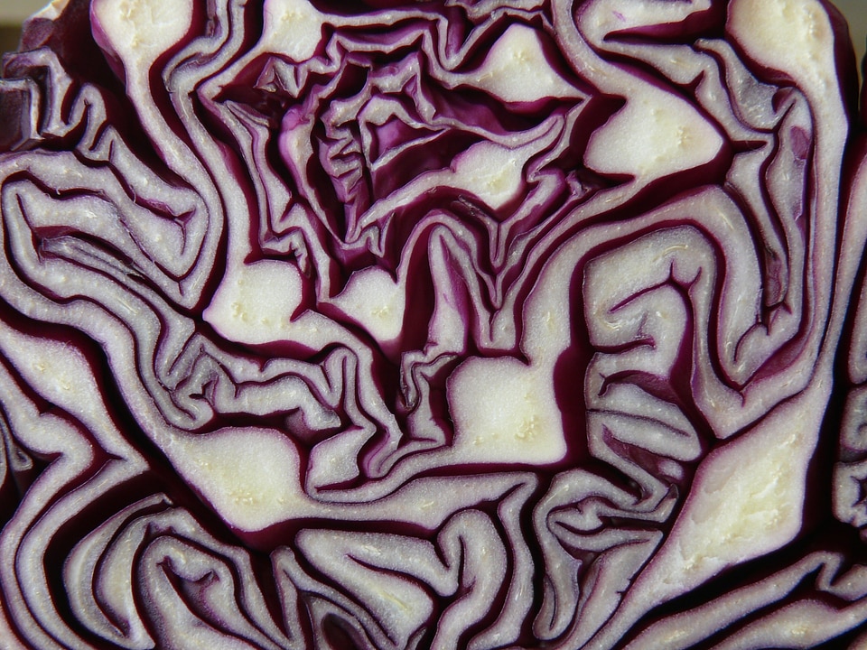Violet blue vegetables