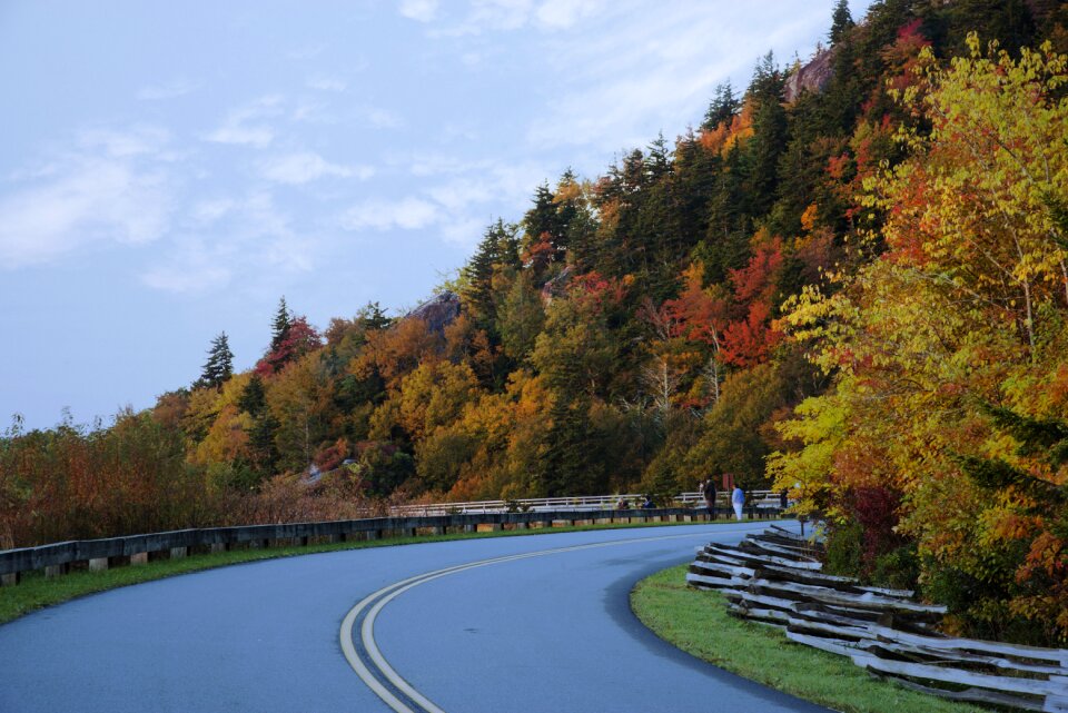 Landscape nature colorful