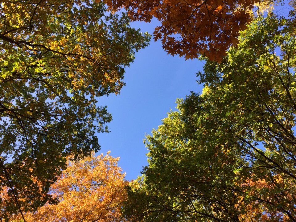 Colors nature fall colors