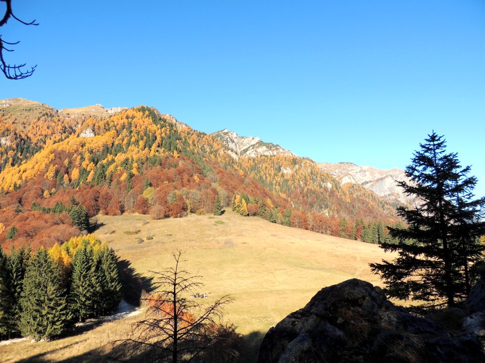 Mountain sinaia landscape