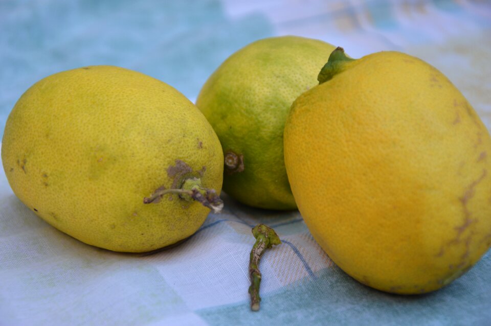 Citrus fruits yellow fruit