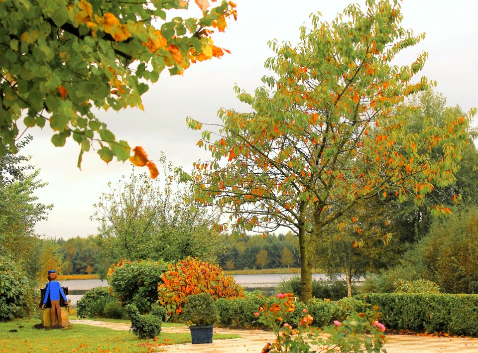Autumn on lake of course windy