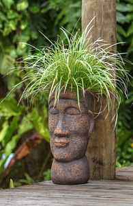 Garden tropical samoa