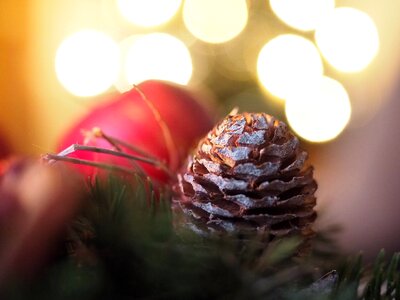 Advent wreath pine cones photo