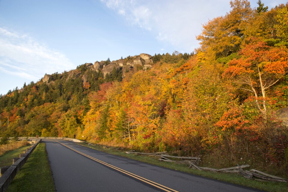 Autumn nature season