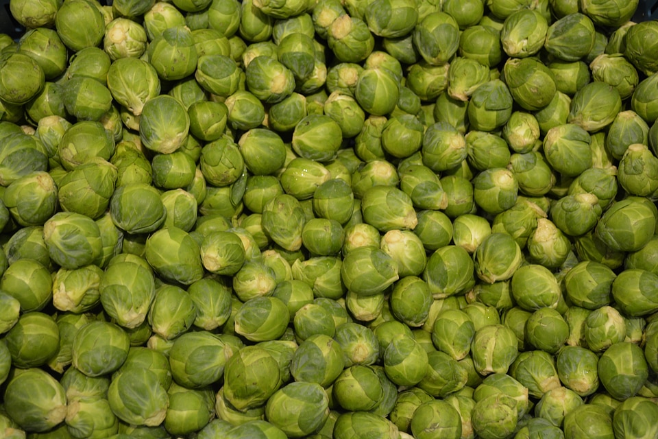 Vegetable green power supply