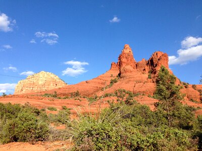 Desert landscape