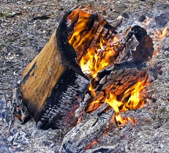 Fireplace firewood burning photo