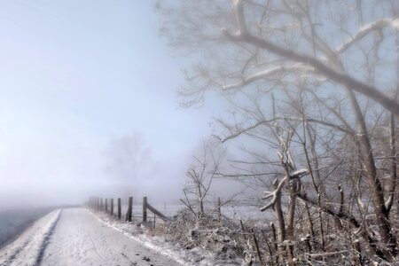 Snow cold winter