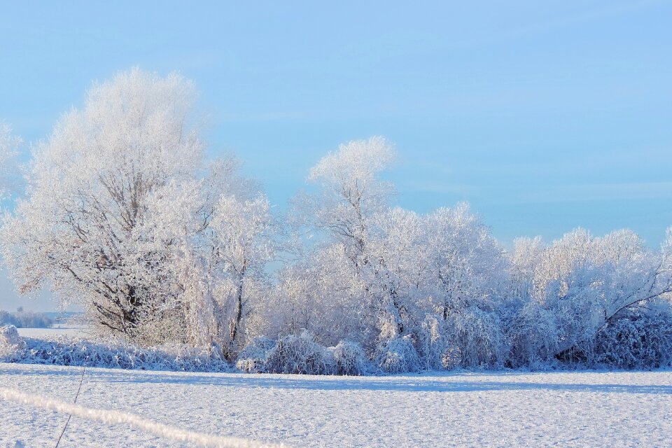 Wintry snow cold