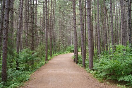 Provincial path