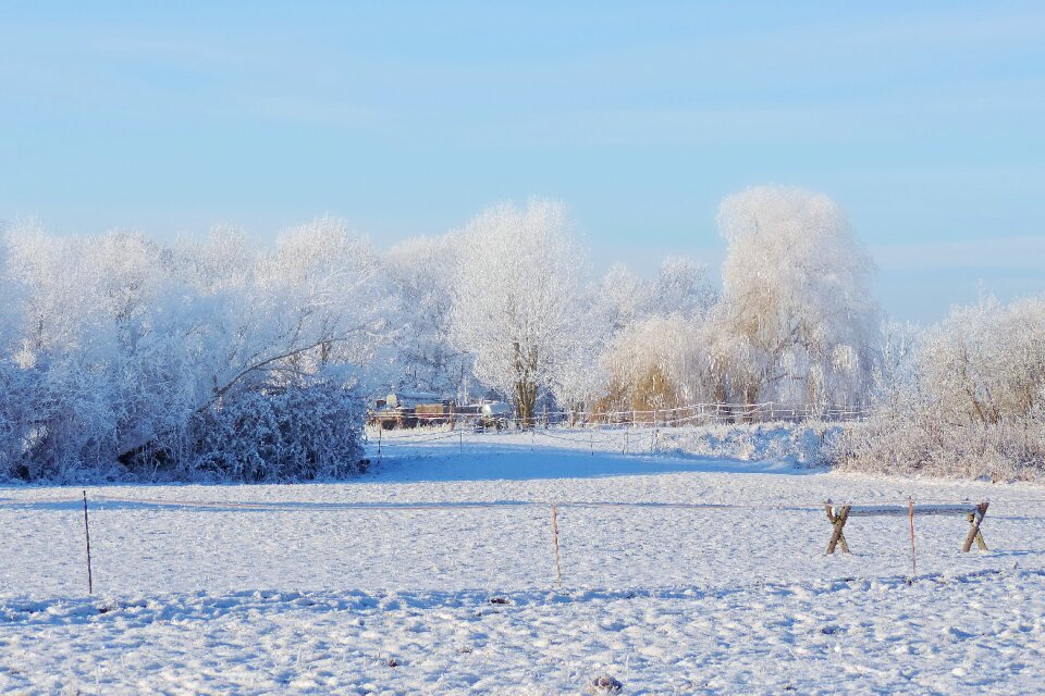 Winter impressions wintry snow