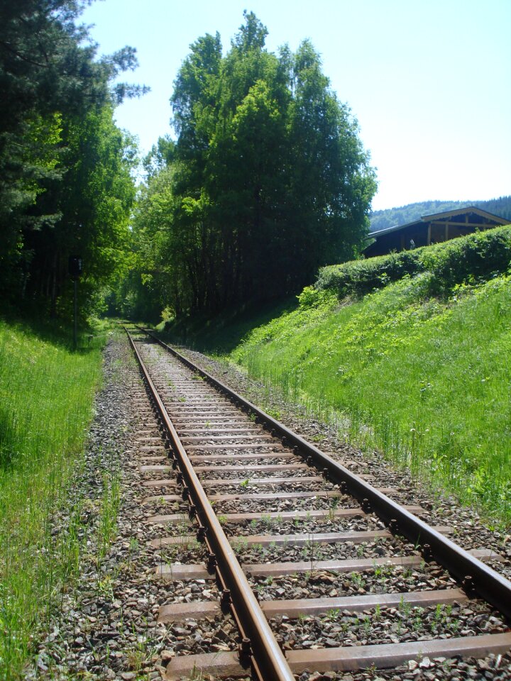 Summer train forest photo