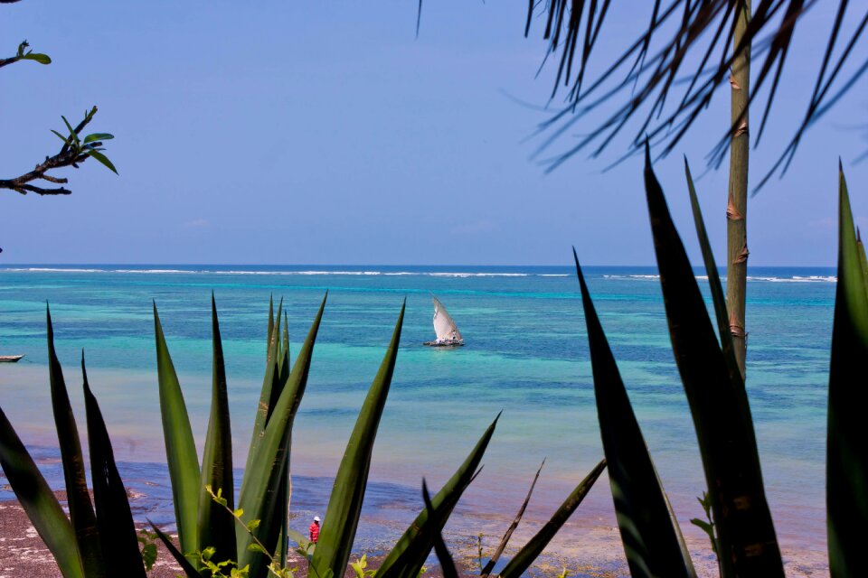 Sailing boat africa turquoise