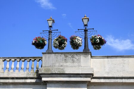 Decorative summer floral