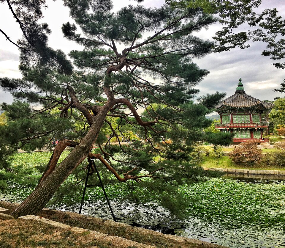 Korea jingfu palace government