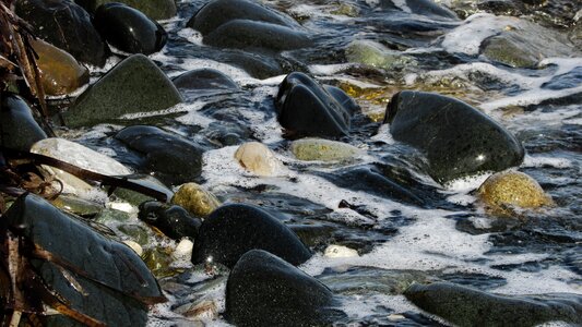 Sea foam bubbles photo