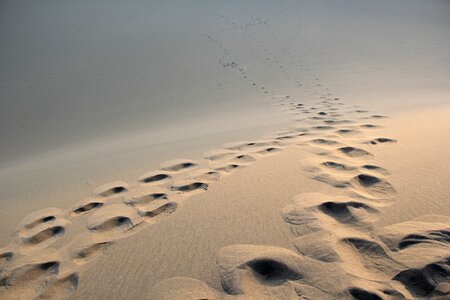 Sand feet prints