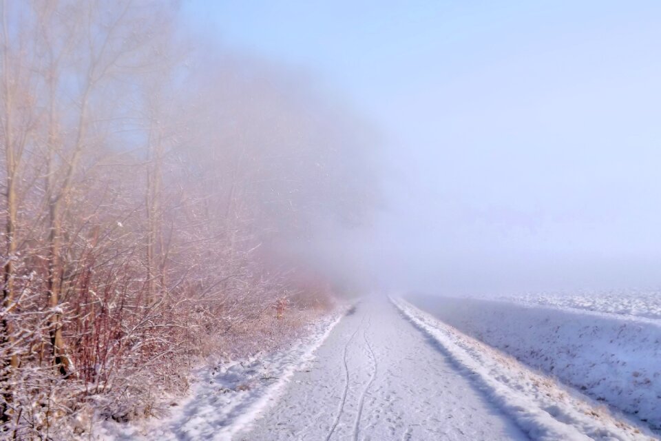 Snow cold winter