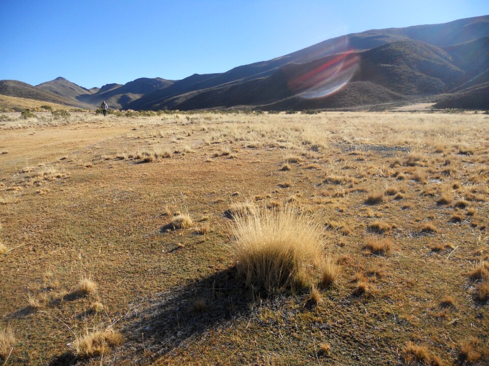 Landscape dry prairie