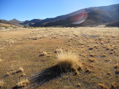 Landscape dry prairie photo