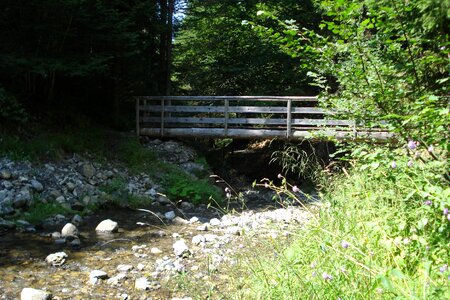 Nature water bridge brook