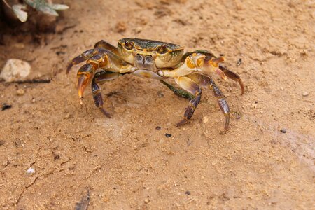 Seafood living beach