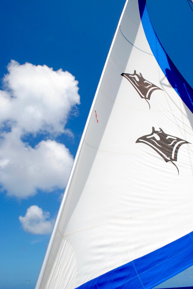Sailing yacht blue trim tabs
