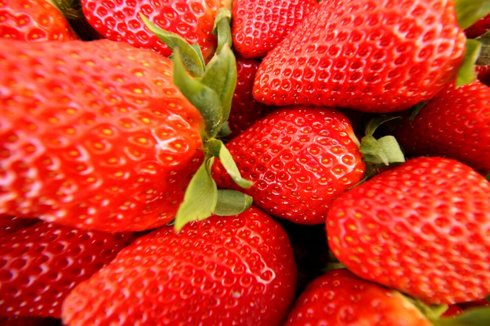 Red texture huelva