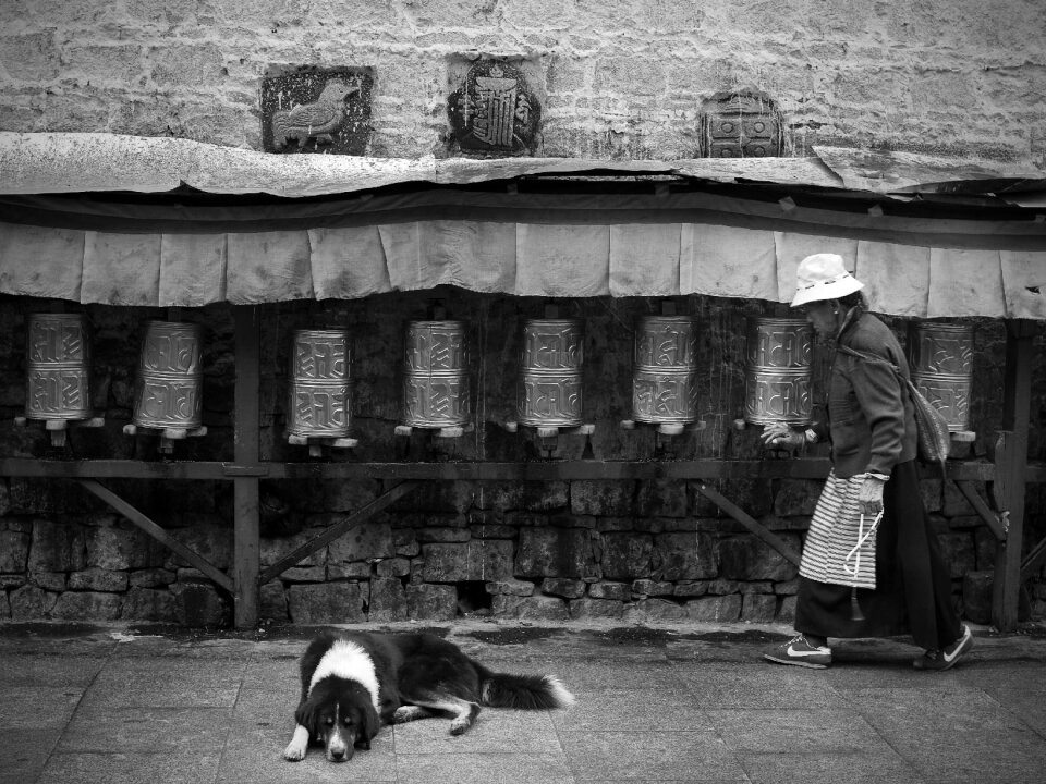 The old man dog prayer wheel