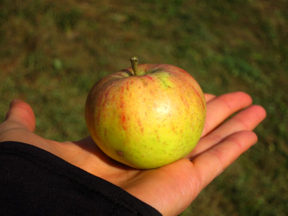 Healthy touch green