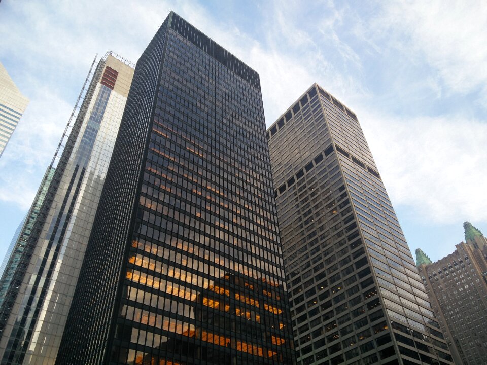 City nyc