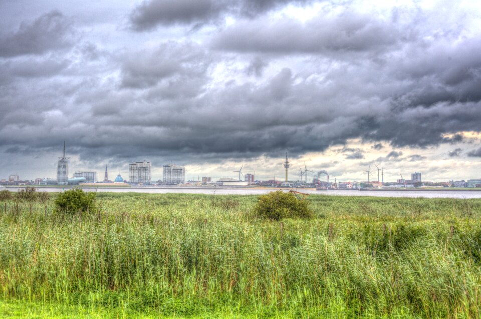 Meadow hdr wind
